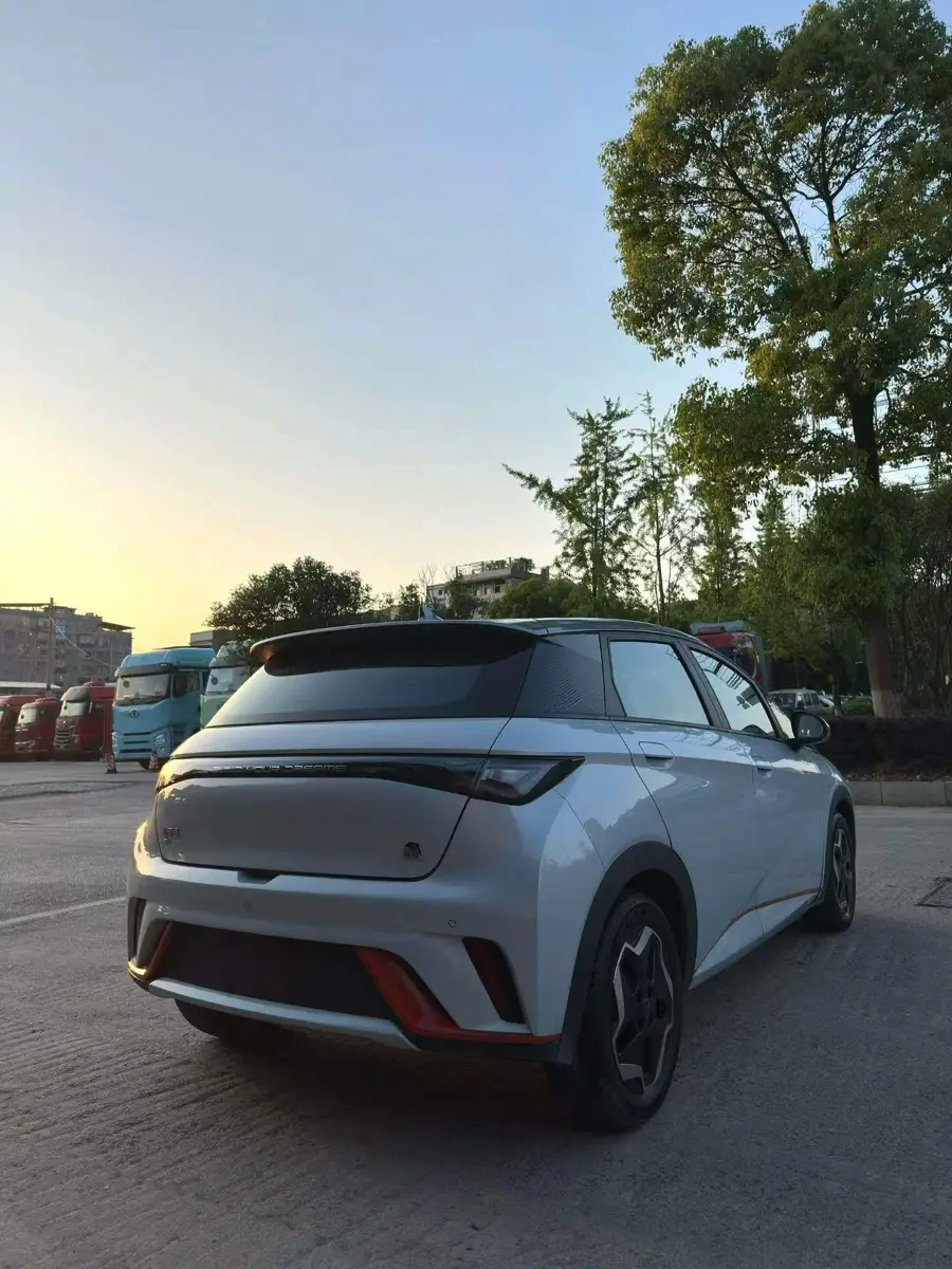 dolphin 2021 405km Freedom Edition — 4