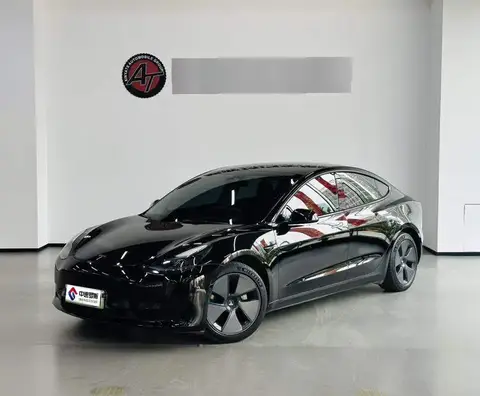 Model 3 2021 Standard Range RWD Upgraded 3D6