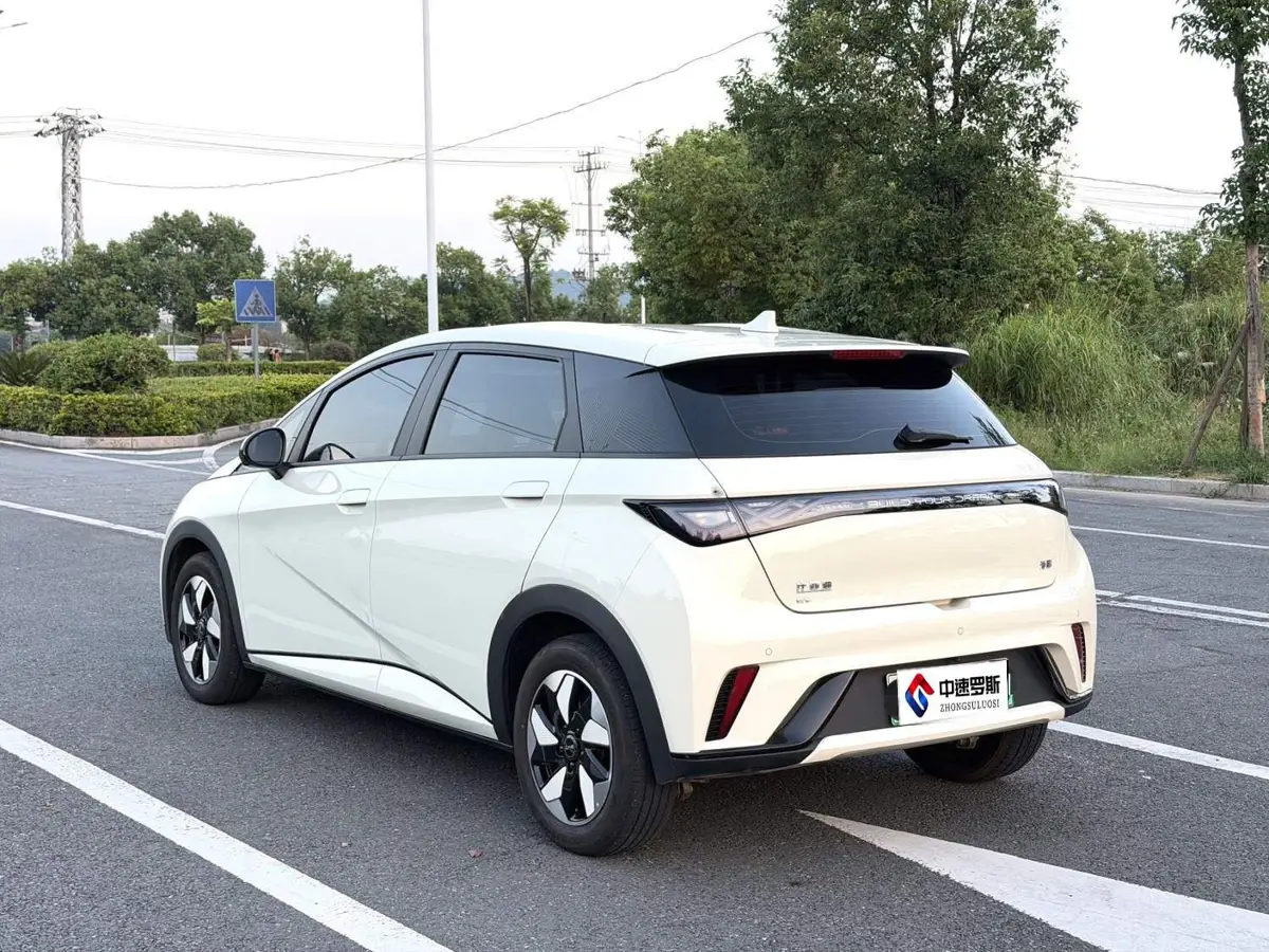 dolphin 2025 420km Freedom Edition — 5