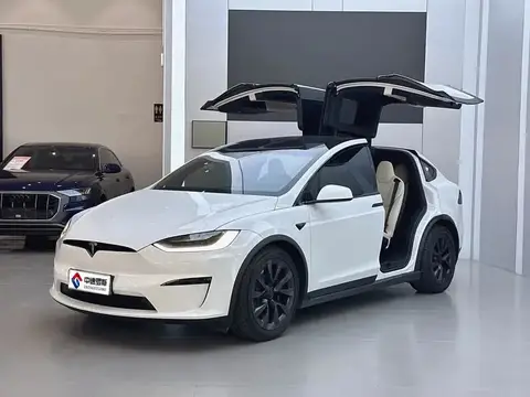 Model X 2023 Dual Motor All-Wheel Drive