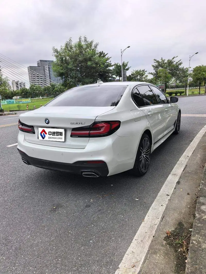 BMW 5 Series 2019 530Li Leading M Sport Package — 7