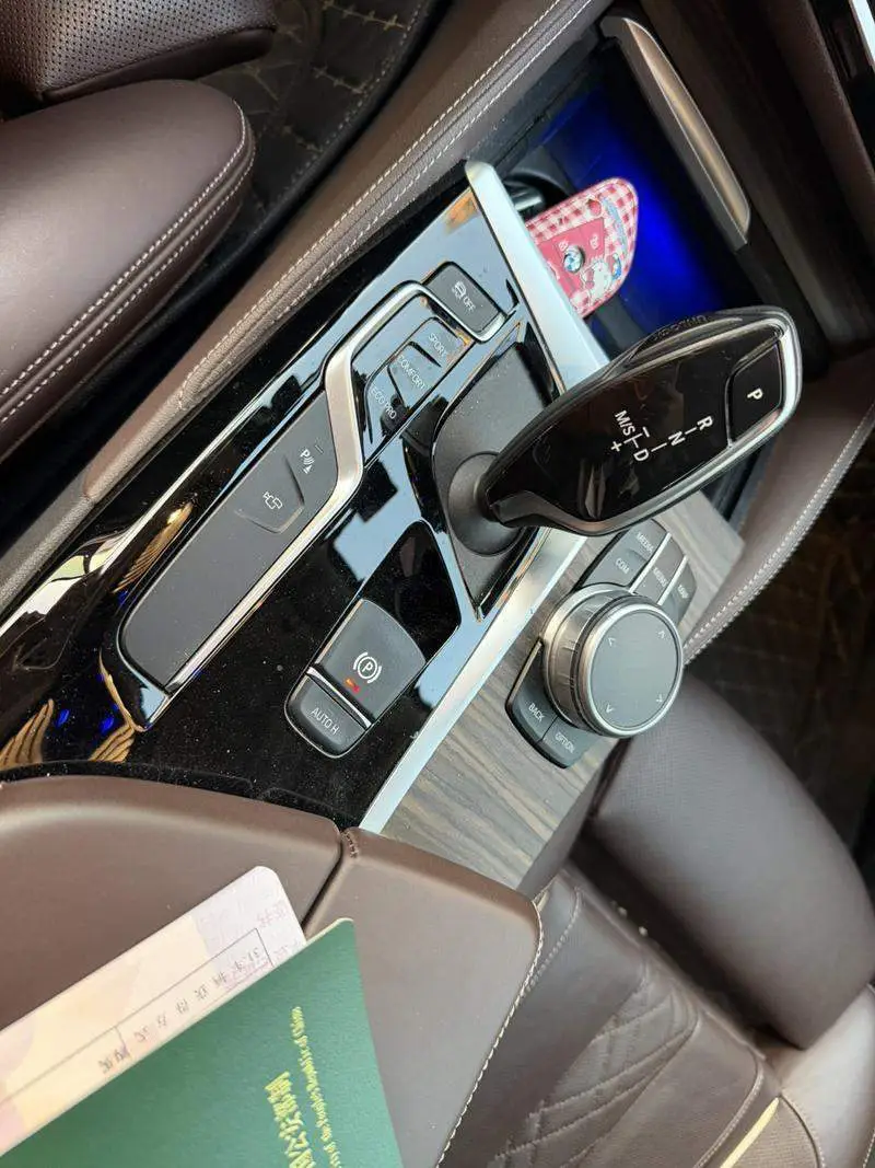 BMW 5 Series 2020 530Li Premium Luxury Package — 12