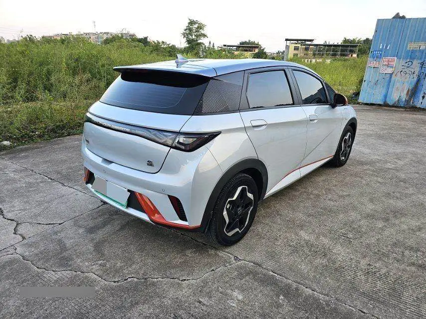 dolphin 2021 405km Freedom Edition — 4