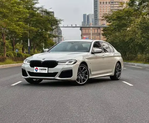 BMW 5 Series 2021 530Li Premium M Sport Package