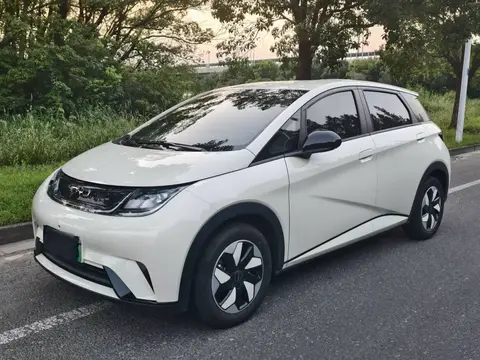 dolphin 2025 420km Vitality Edition