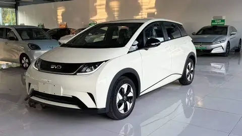 dolphin 2025 420km Freedom Edition