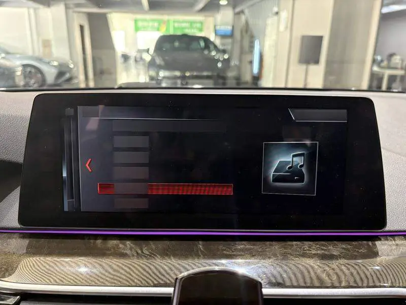 BMW 5 Series 2018 530Li Leading M Sport Package — 10