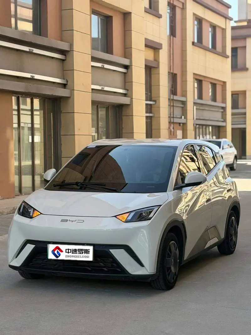 Seagull 2023 Vitality Edition — 7