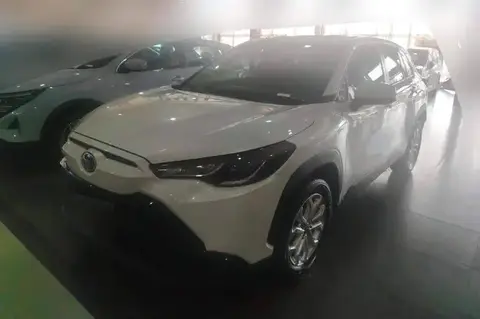 Landa 2024 2.0L Intelligent Hybrid Dual Engine Leading Edition