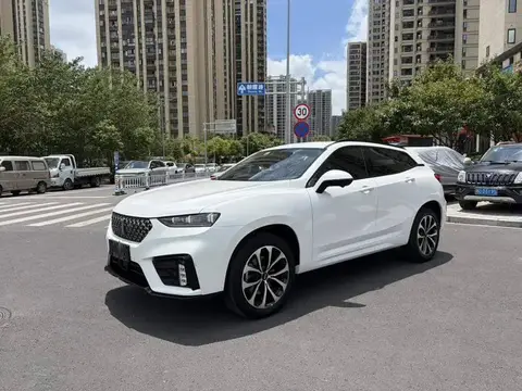 Wei brand VV7 2020 2.0T Flagship