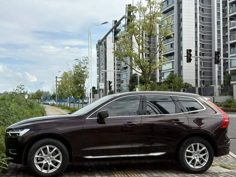 Volvo XC60 2020 T5 4WD Zhiyi Luxury Edition — 4