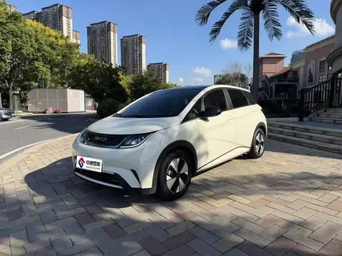 dolphin 2024 Honor Edition 420km Fashion Edition