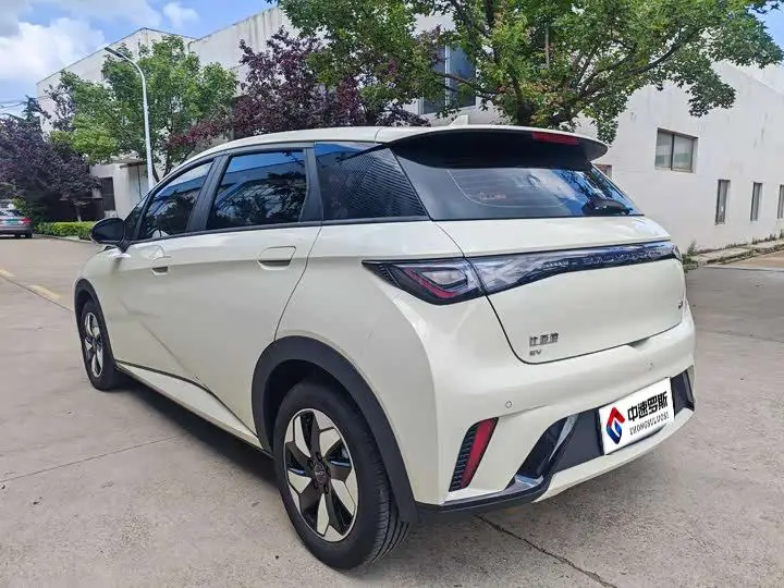 dolphin 2025 420km Freedom Edition — 6