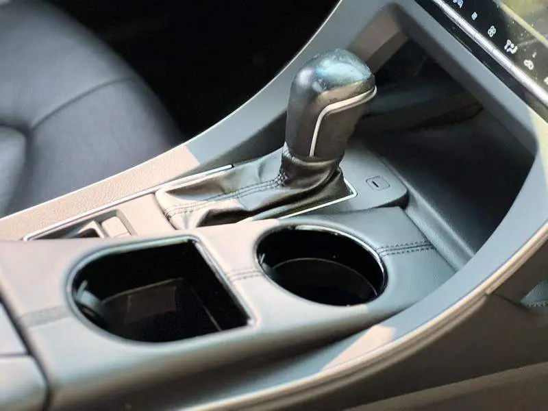 Asian Dragon 2019 2.0L Luxury Edition National VI — 11