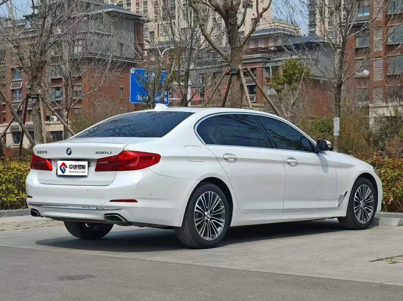 BMW 5 Series 2019 530Li Premium Luxury Package — 4