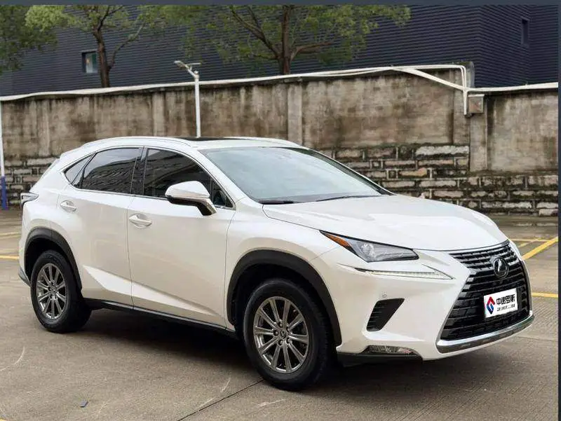 Lexus NX 2020 200 All-wheel Drive Frontier Edition National VI — 3