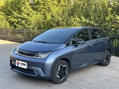 dolphin 2025 420km Vitality Edition