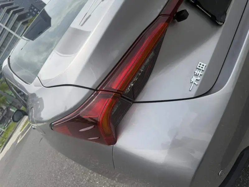 Asian Dragon 2019 Hybrid 2.5L Luxury Edition National VI — 13