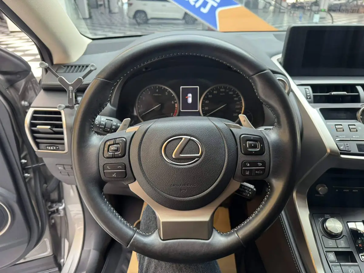 Lexus NX 2020 200 All-wheel Drive Frontier Edition National VI — 9
