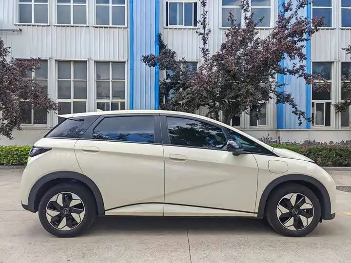 dolphin 2025 420km Freedom Edition — 7