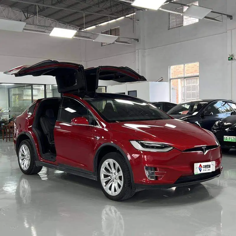 Model X 2019 Standard Range Edition — 3