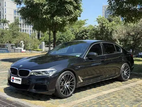 BMW 5 Series 2020 530Li Leading M Sport Package