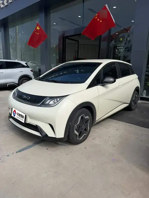 dolphin 2025 420km Vitality Edition