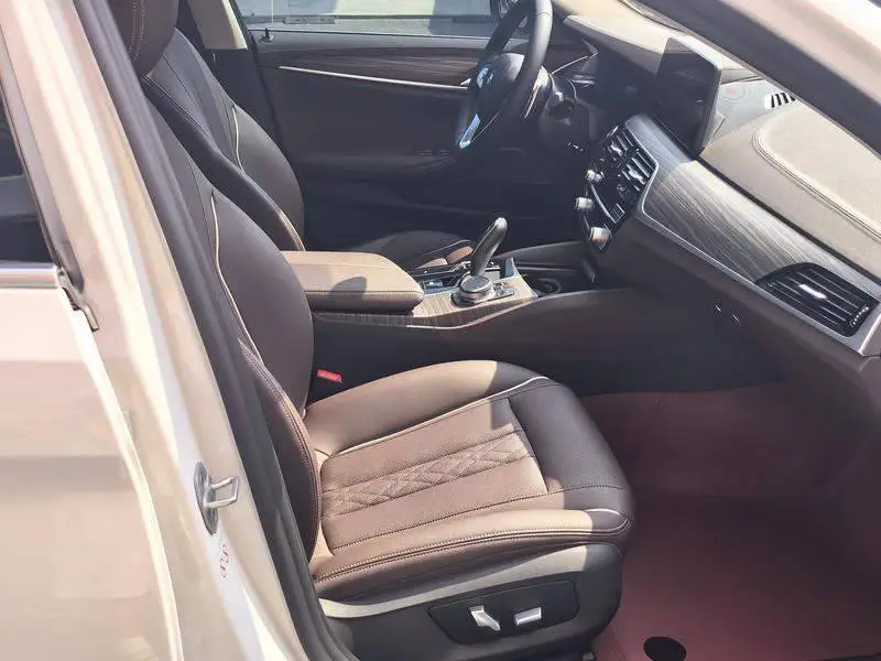 BMW 5 Series 2022 530Li xDrive Luxury Package — 14