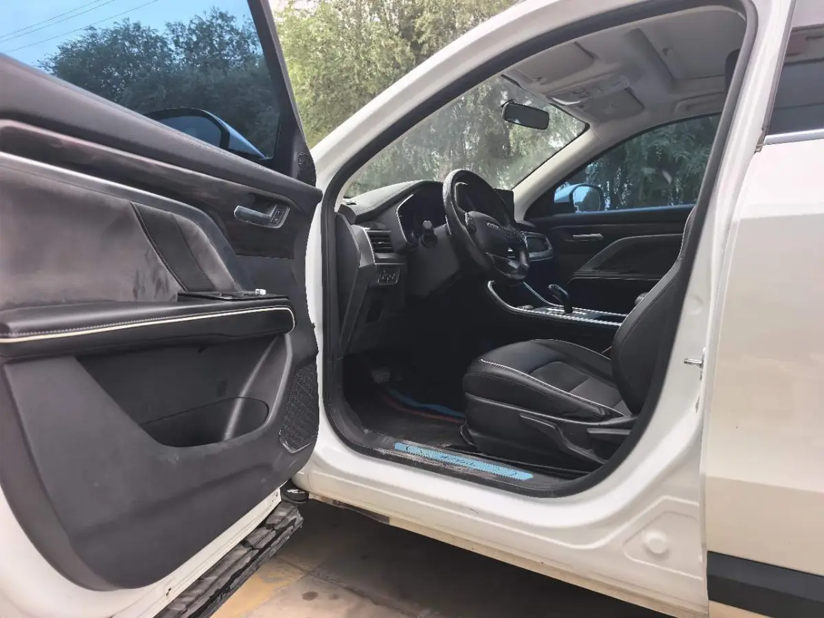 Haval H6 2023 National Trend Edition 1.5T Automatic City Edition — 13