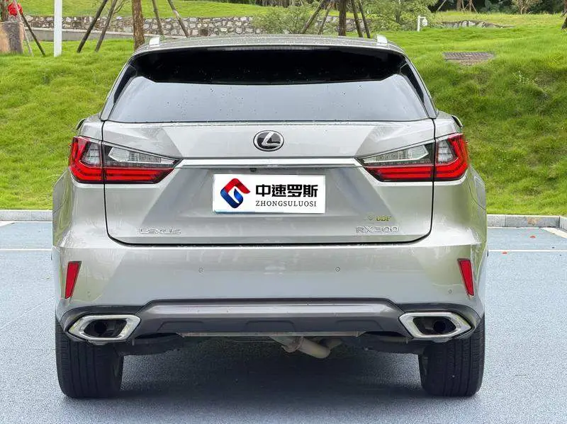 Lexus RX 2016 300 4WD Elegant Edition National VI — 5