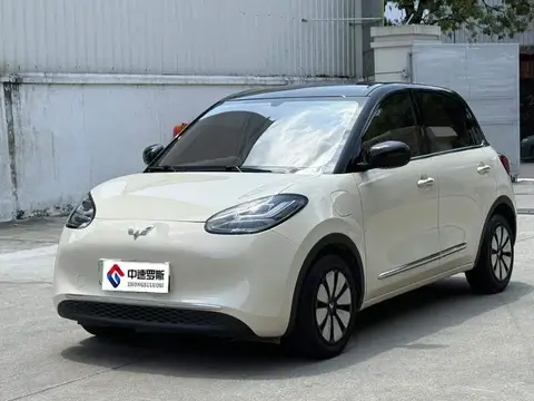 Wuling Bingo 2025 333km Lingxi Internet Model
