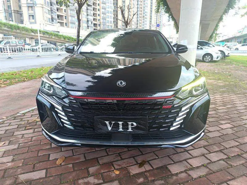 Yixuan MAX 2021 1.5T Super Dad Edition — 2