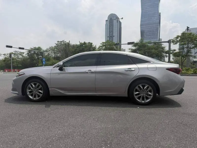 Asian Dragon 2019 Hybrid 2.5L Luxury Edition National VI — 4