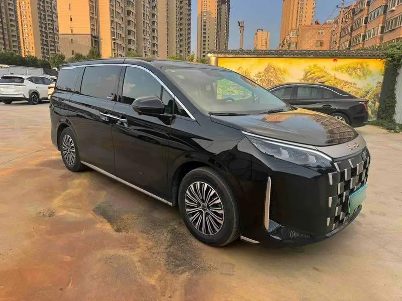 BYD M9 2025 1060 Navigator Pro — 3