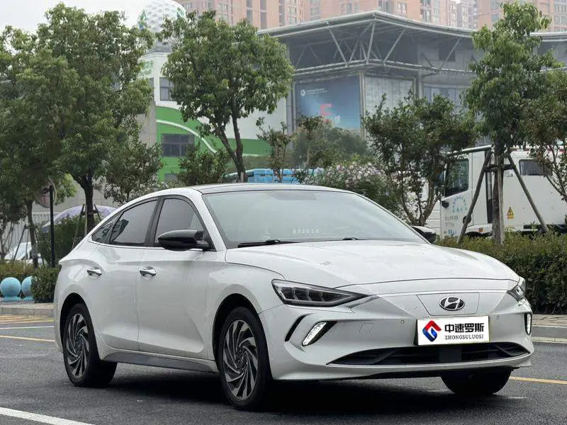 Festa pure electric 2020 GLS Free Travel Edition — 3