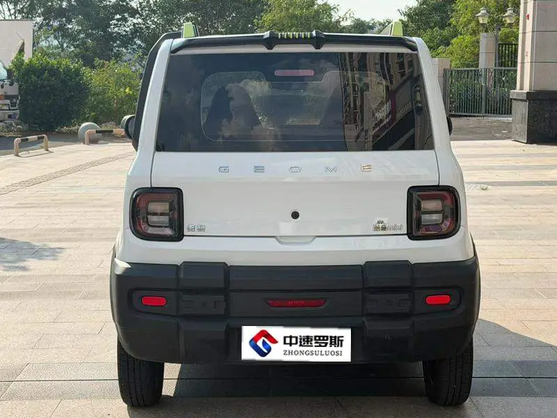 panda 2024 200km Panda Kart — 5