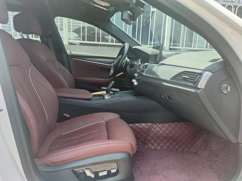 BMW 5 Series 2021 530Li Premium M Sport Package — 17