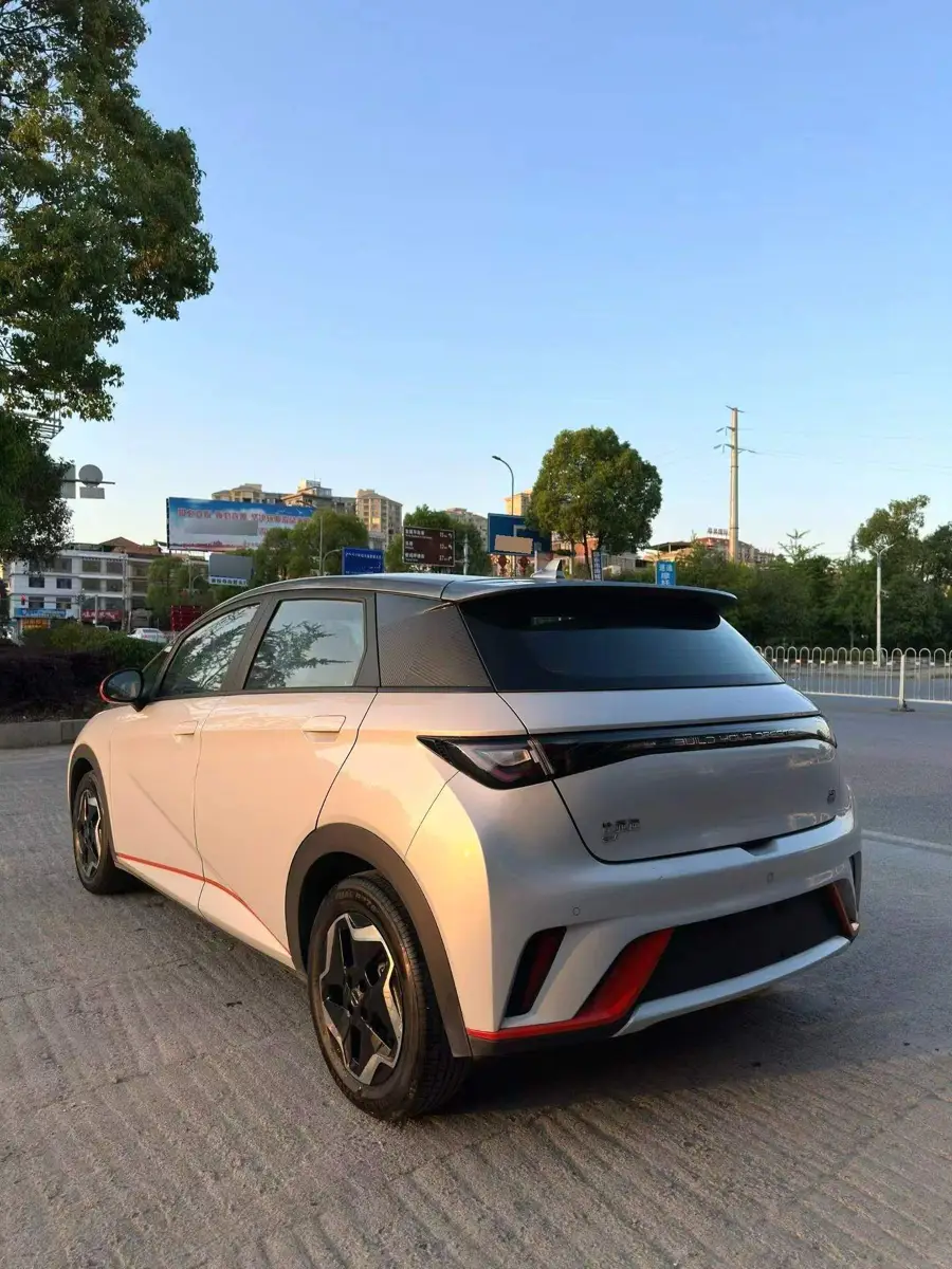 dolphin 2021 405km Freedom Edition — 6