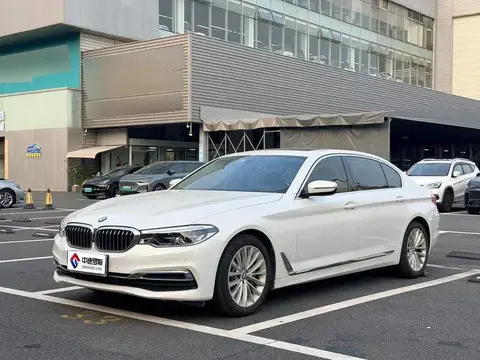 BMW 5 Series 2020 530Li Leading Luxury Package