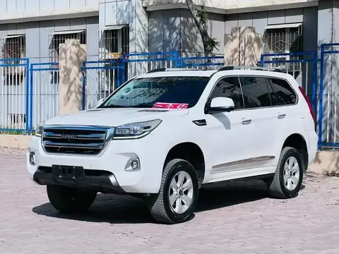 Haval H9 2020 2.0T Gasoline 4WD Premium 5-seater