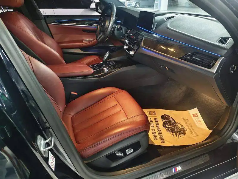 BMW 5 Series 2019 530Li Premium M Sport Package — 8