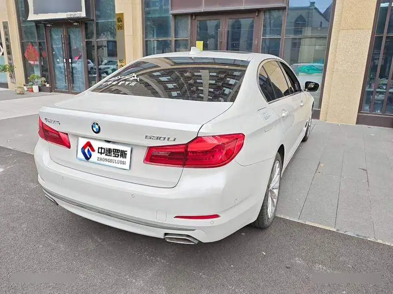 BMW 5 Series 2020 530Li Premium Luxury Package — 6