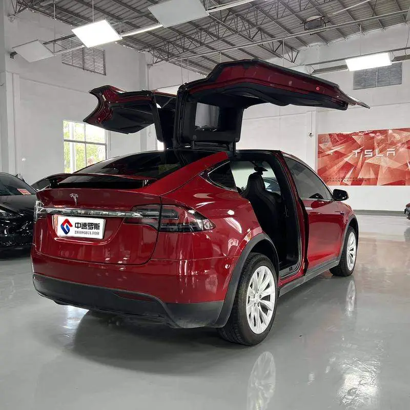 Model X 2019 Standard Range Edition — 7