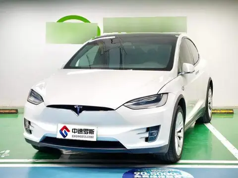 Model X 2019 long-range version