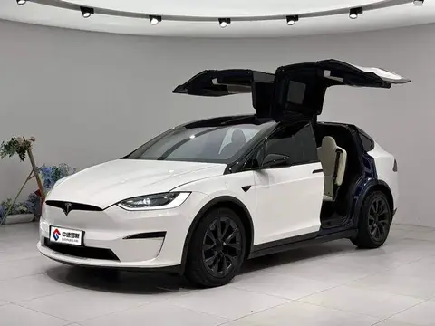 Model X 2023 Dual Motor All-Wheel Drive
