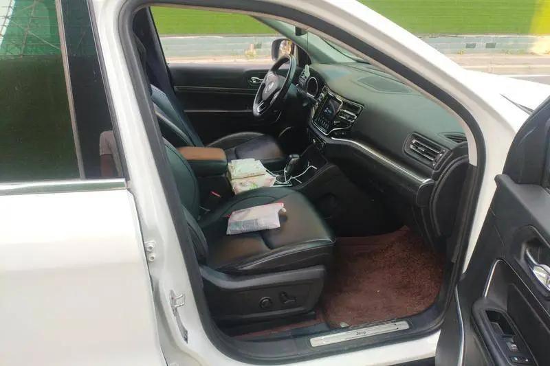 Great Commander 2018 2.0T 4WD Enjoyable Edition National V — 11