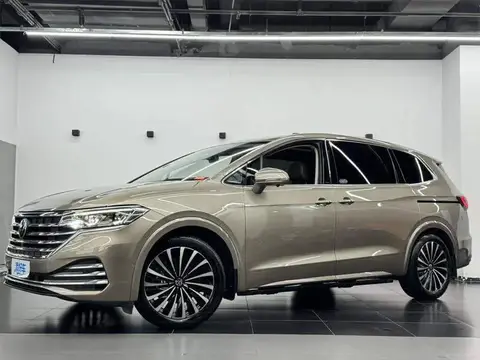 Weiran 2020 380TSI Premium Edition