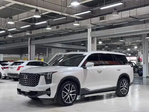 Trumpchi GS8 2024 Pilot Series 2.0TGDI Two-wheel Drive Luxury Smart Edition