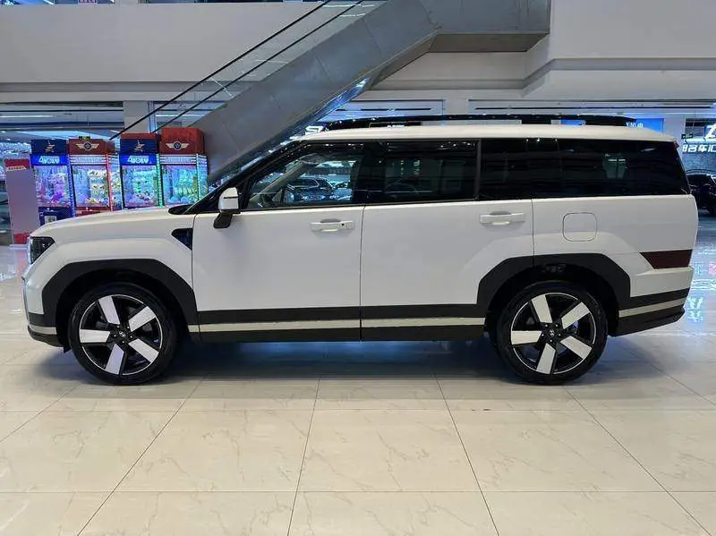 Shengda 2024 2.0T Explorer Pro — 4