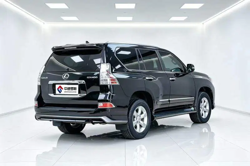 Lexus GX 2010 460 — 6